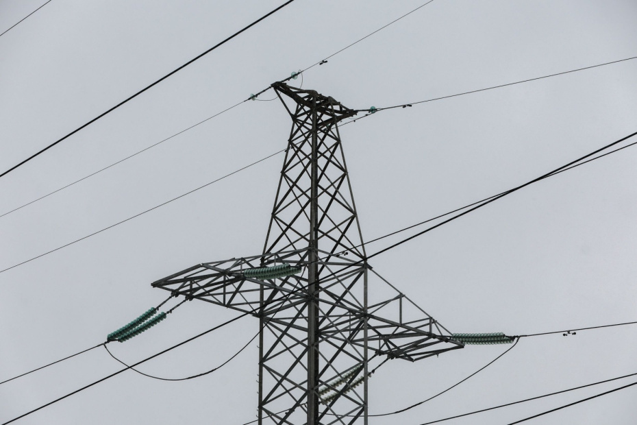    Алексей Белкин/NEWS.ru