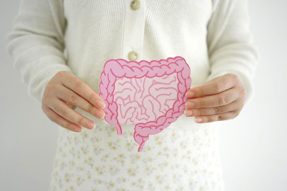    Фото: iStock Василий Шеин