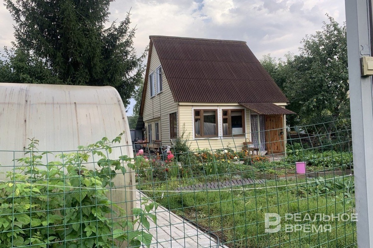   Реальное время / realnoevremya.ru