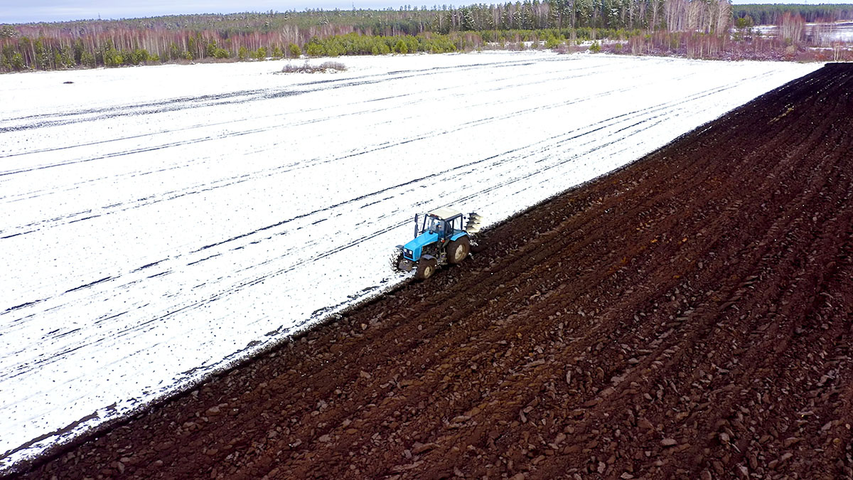 ©Shutterstock/FOTODOM