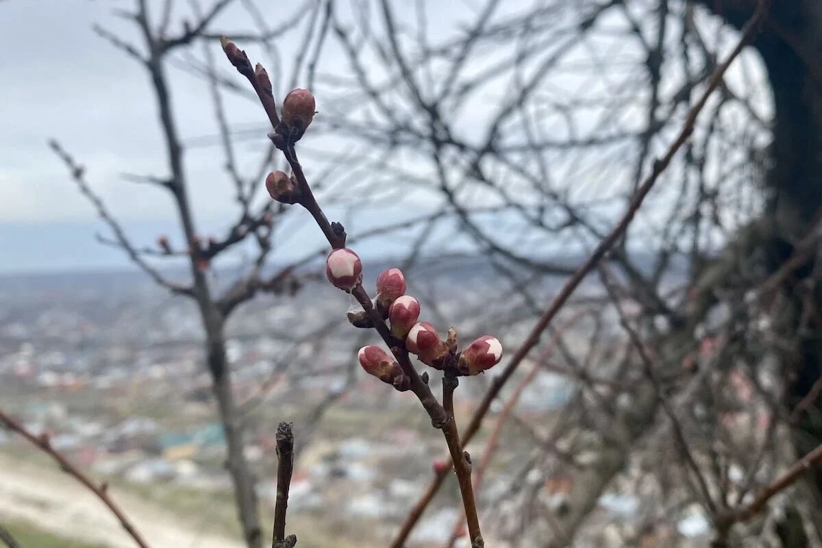 Фото: UfaTime.ru