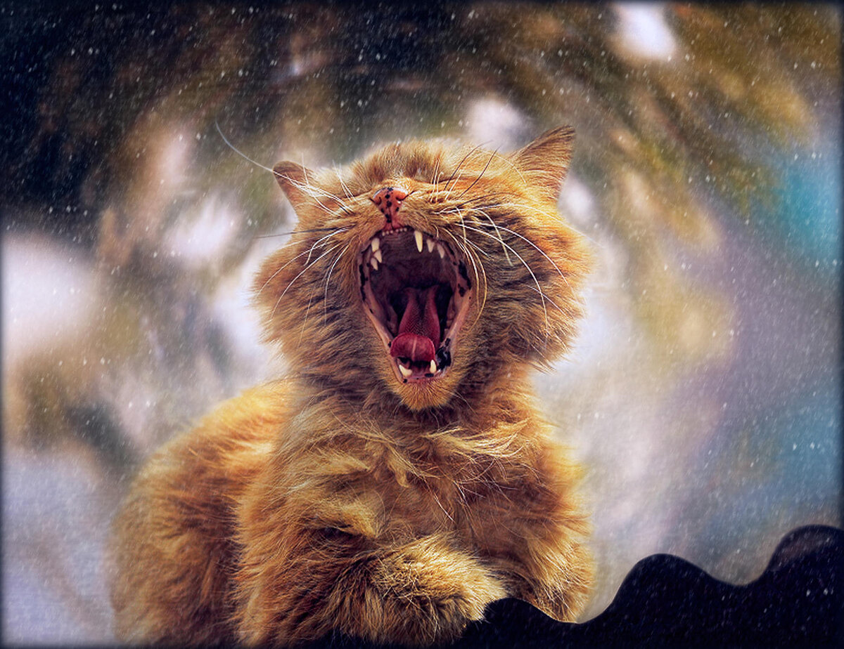 Источник фото: https://photocentra.ru/work/556366