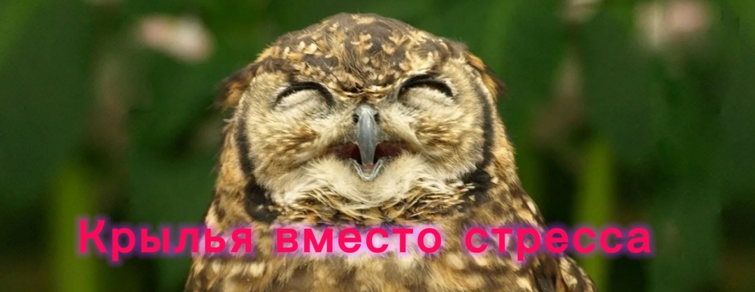 «Диагональный полет»: простое упражнение, которое мгновенно поднимает настроение