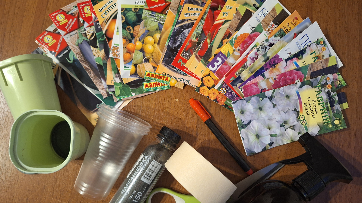 Фото автора. Натюрморт «Подготовка к посадке семян» 