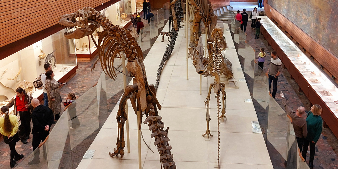 Палеонтологический музей в Москве: динозавры и красивые панно