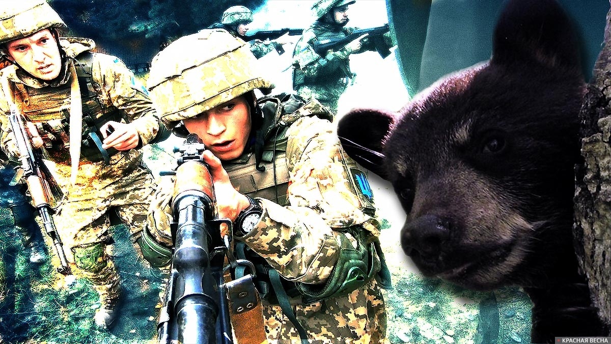     ВСУ   
Вячеслав Яковенко © ИА Красная Весна