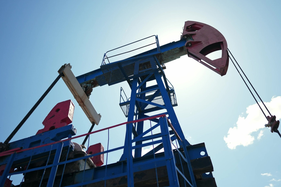    Shutterstock/FOTODOM