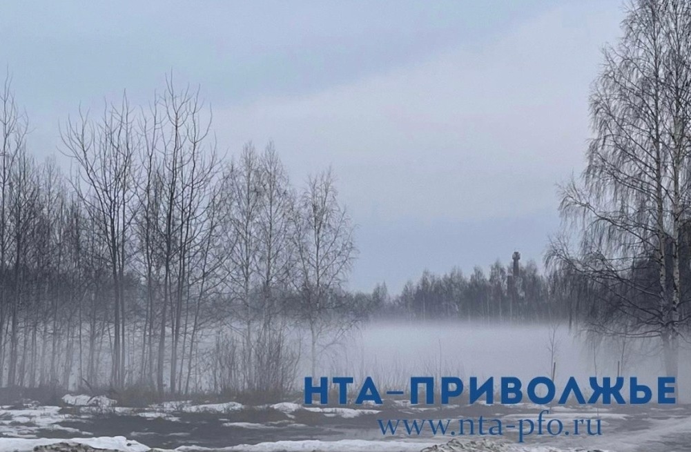    Туман с видимостью до 500 м ожидают в Самарской области 23 марта