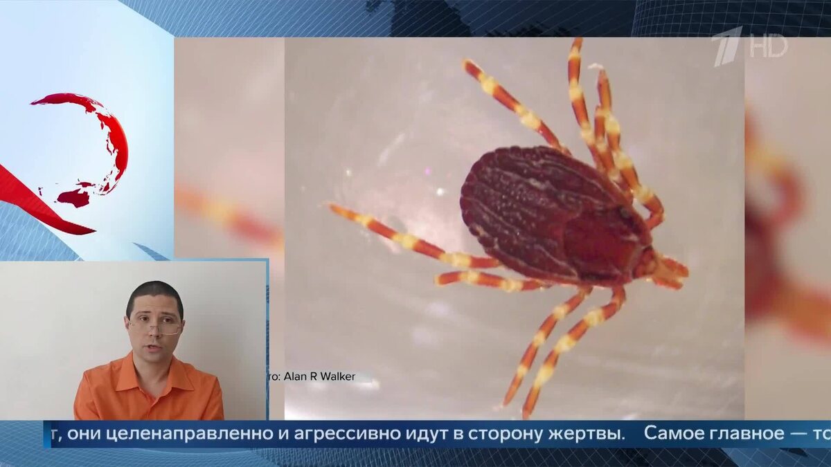    Первый канал