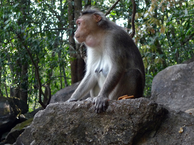   Геннадий Черкасов