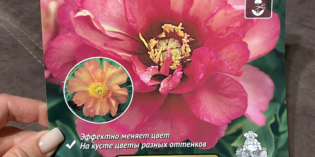📦 Посылка с саженцами — это маленькое весеннее счастье 🌸