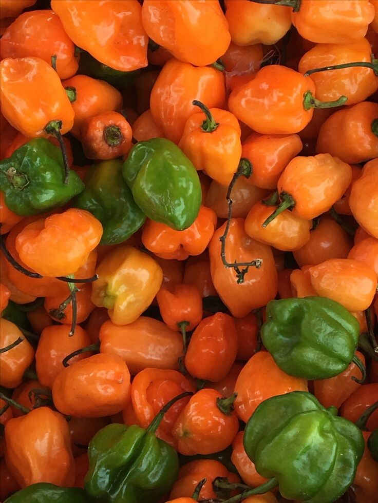 Перец Habanero