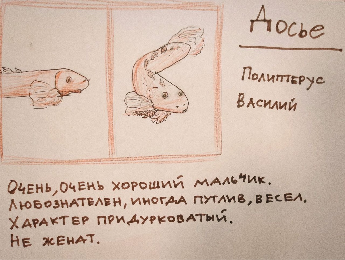 Досье Василия от моего иллюстратора 😃