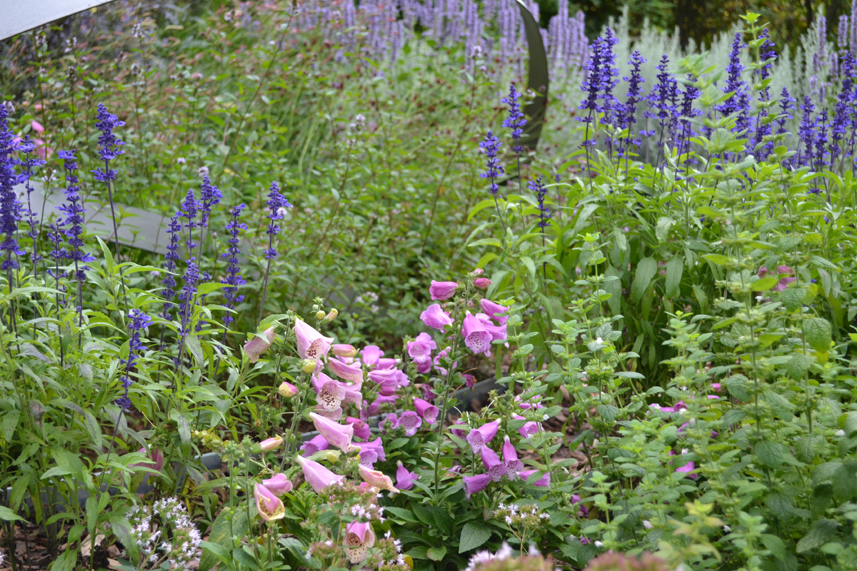 Фото автора канала 