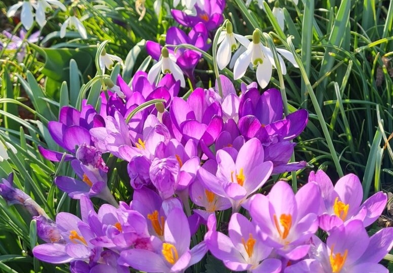 Черчилль, но не премьер - министр. Леночкины истории