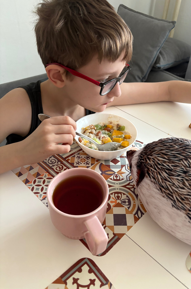 Хренобус претендовал на кашу чемпионов