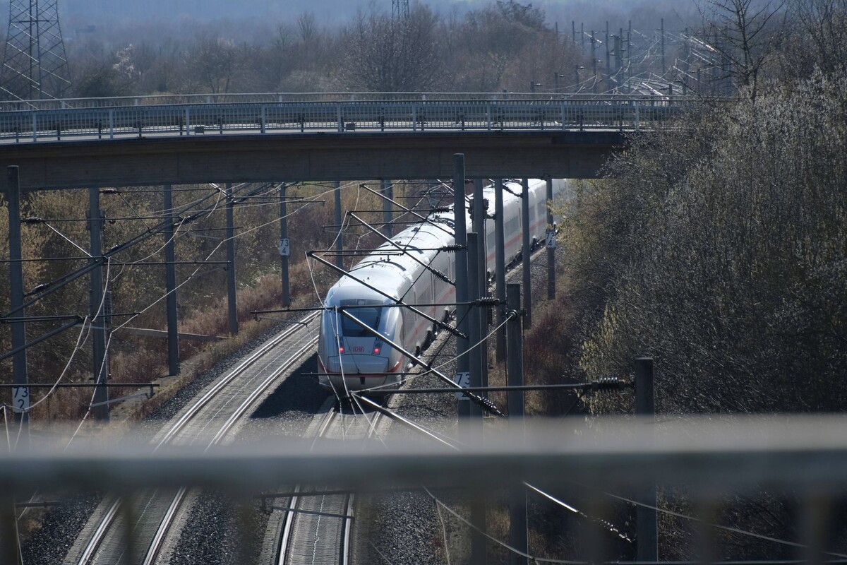     / Источник: © Global Look Press