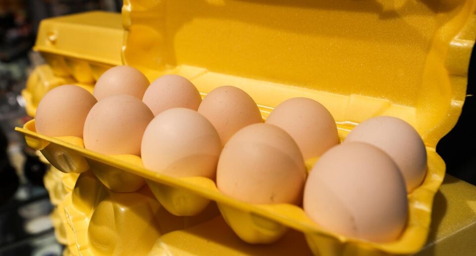    Sergey Petrov/news.ru / www.globallookpress.com