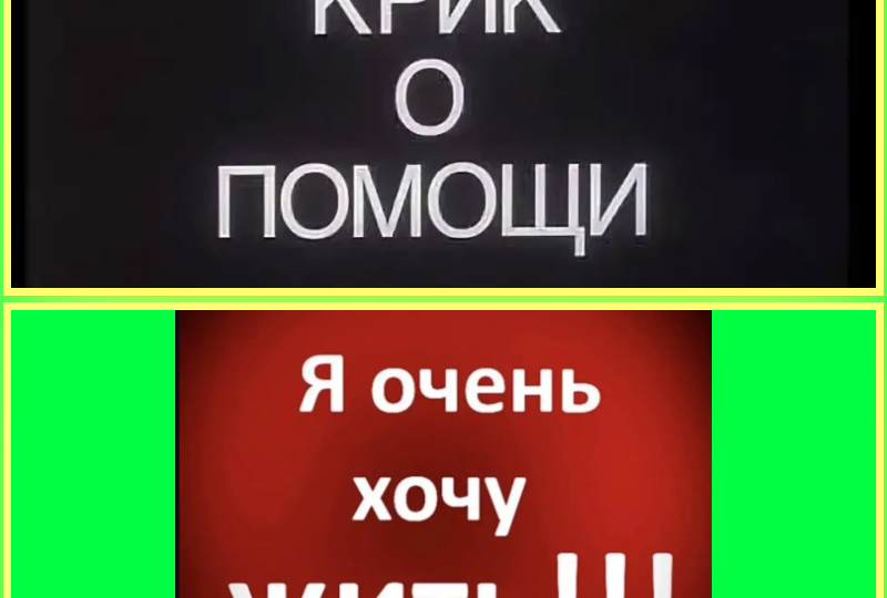 SOS! SOS! SOS! Помогите Чапе