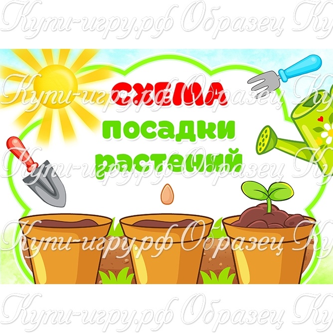 Карточки-алгоритм "Схема посадки растений" в уголок природы и для  огорода на подоконнике в детском саду