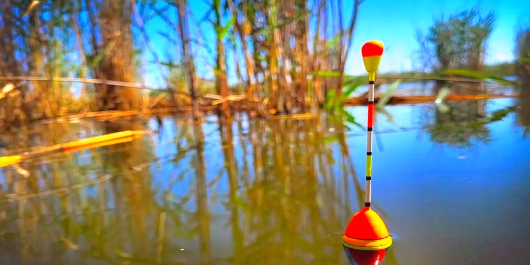 7 из 10 рыбаков выбирают поплавок неправильно: разбираем форму, грузоподъемность и огрузку