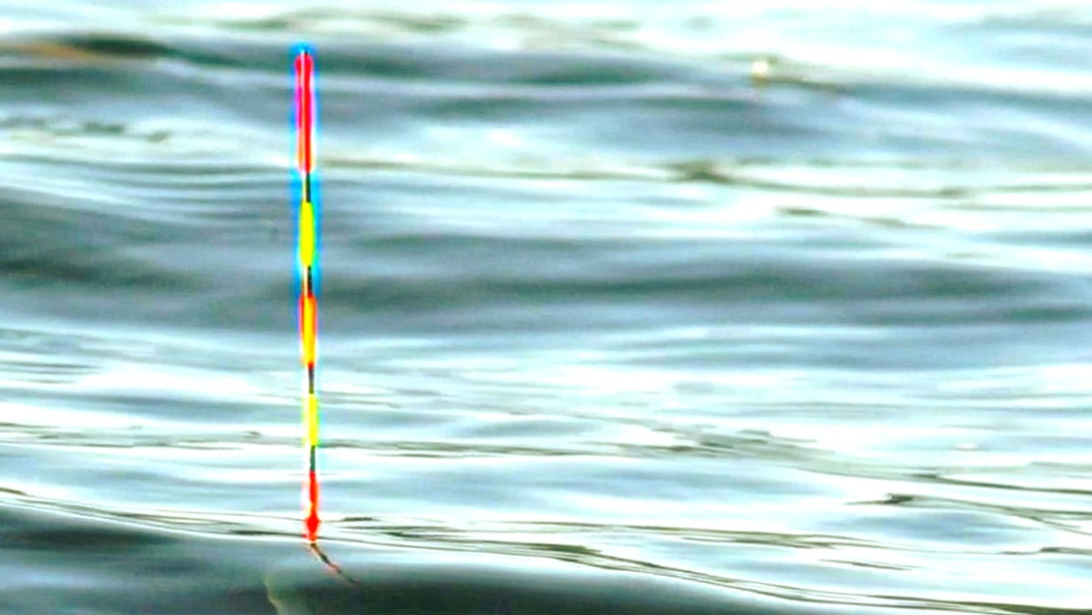 Из воды торчит только антенна. Все поклевки будут видны