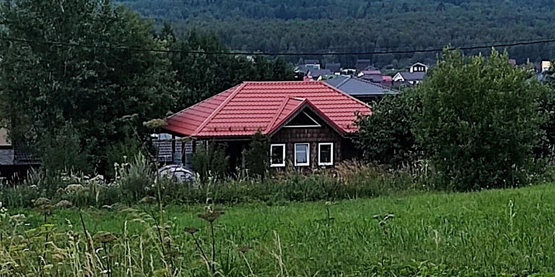 КАКОГО ЦВЕТА ТРАВА? Притча о тиграх и ослах в эпоху Тик-Тока