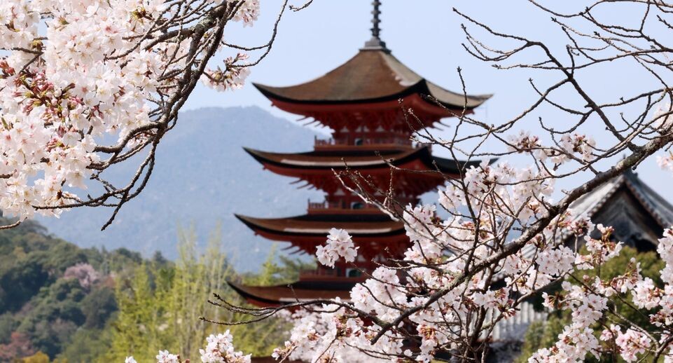    Yoshio Tsunoda/AFLO / www.globallookpress.com