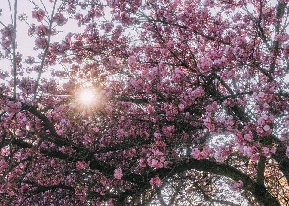    IMAGO/Mika Volkmann / www.globallookpress.com