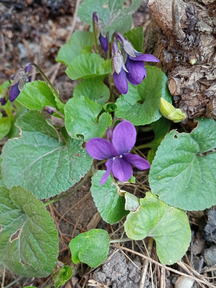 22.03.26, фото автора