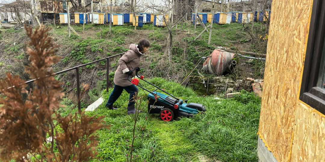Новые посадки и рыба с хреном