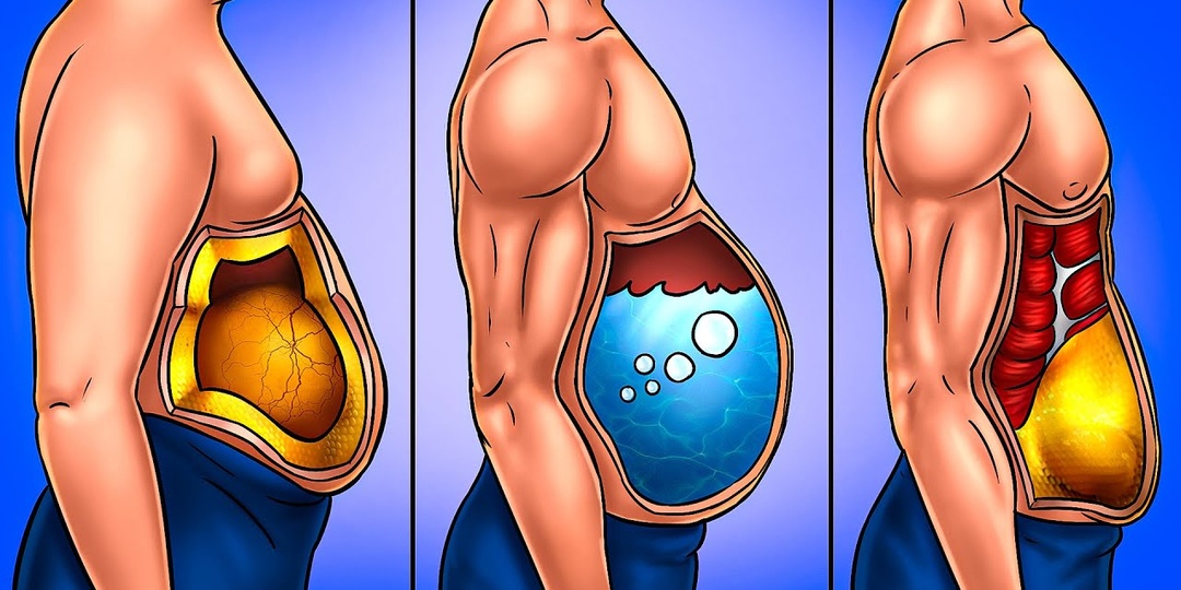 Почему после 50 лет часто растёт живот — эндокринолог объясняет