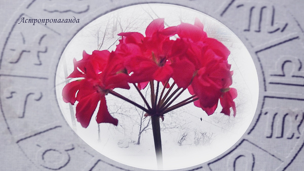 Гороскоп на неделю с 23 по 29 марта 2026: продуктивный союз Солнца, Сатурна и Плутона | Недельный гороскоп