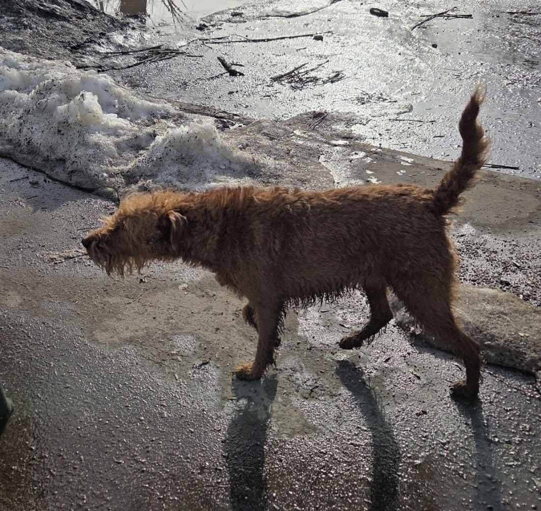 Вот это фото я и увидела