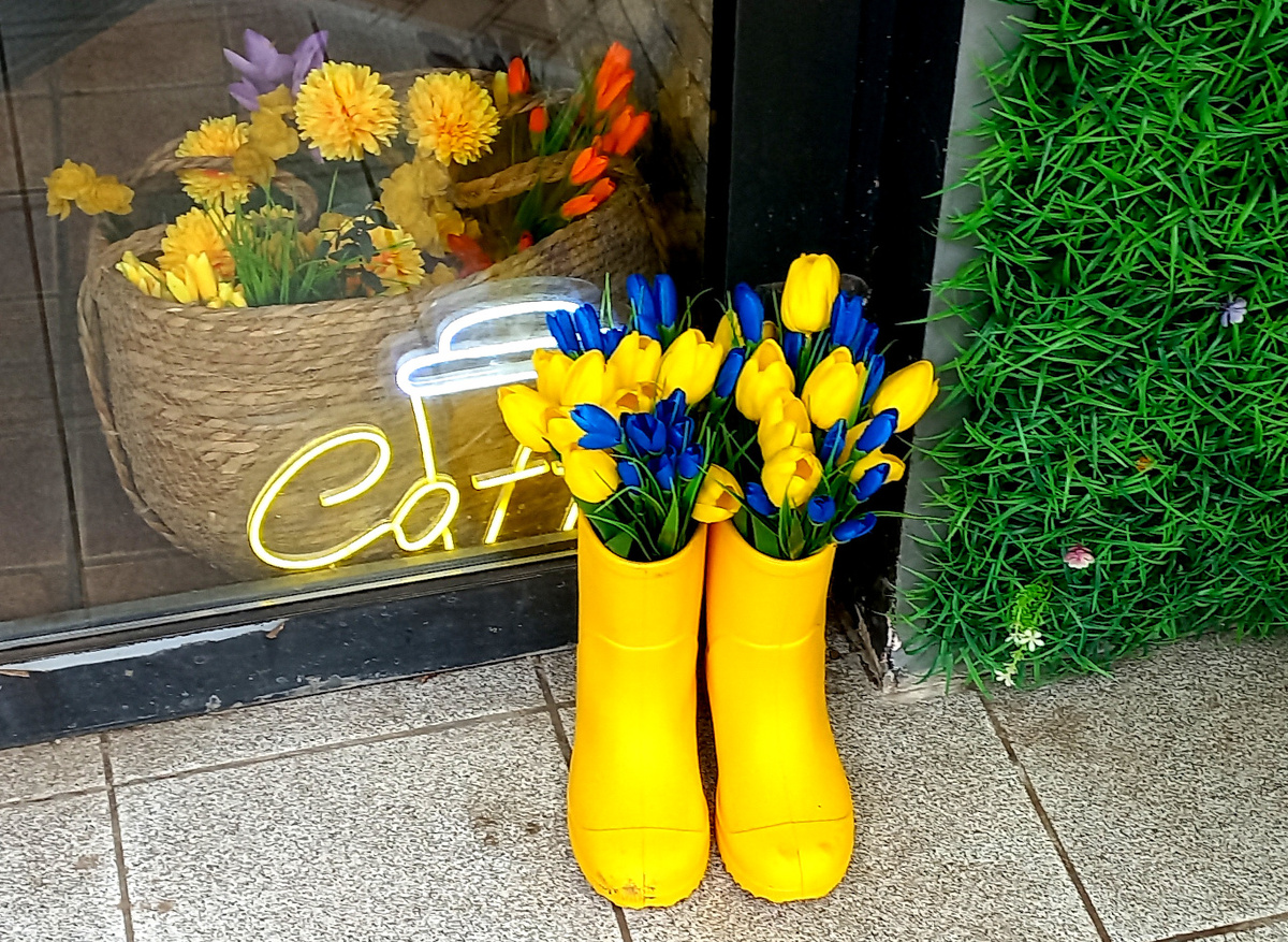 Кафе «Безе». Донецк