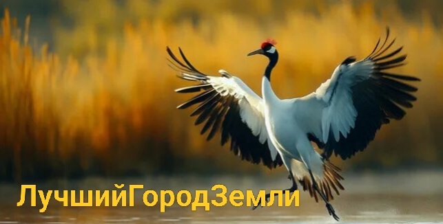 Японский журавль (иллюстрация автора)