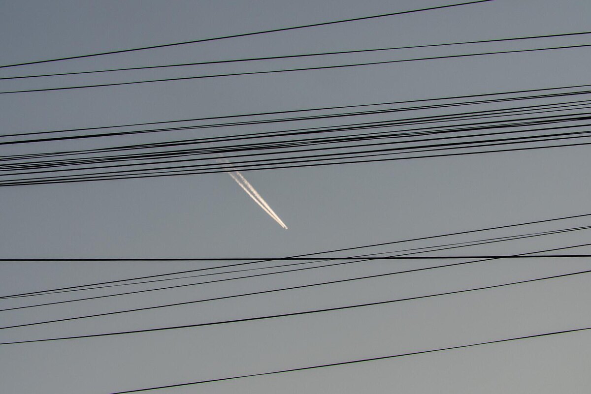 Фото: Олег Золото / «Петербургский дневник»