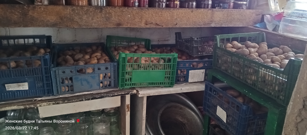 В кладовке ей будет отлично прорастать