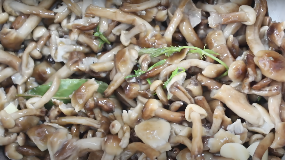 Фотография из интернета