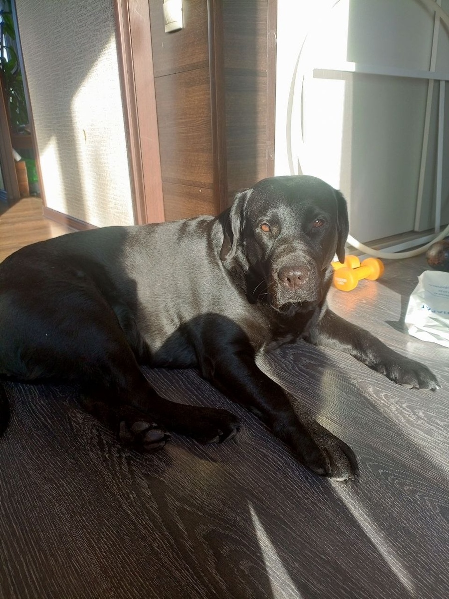 Её жизнь наполнена любовью, приключениями и маленькими радостями, о которых раньше она не могла и мечтать.