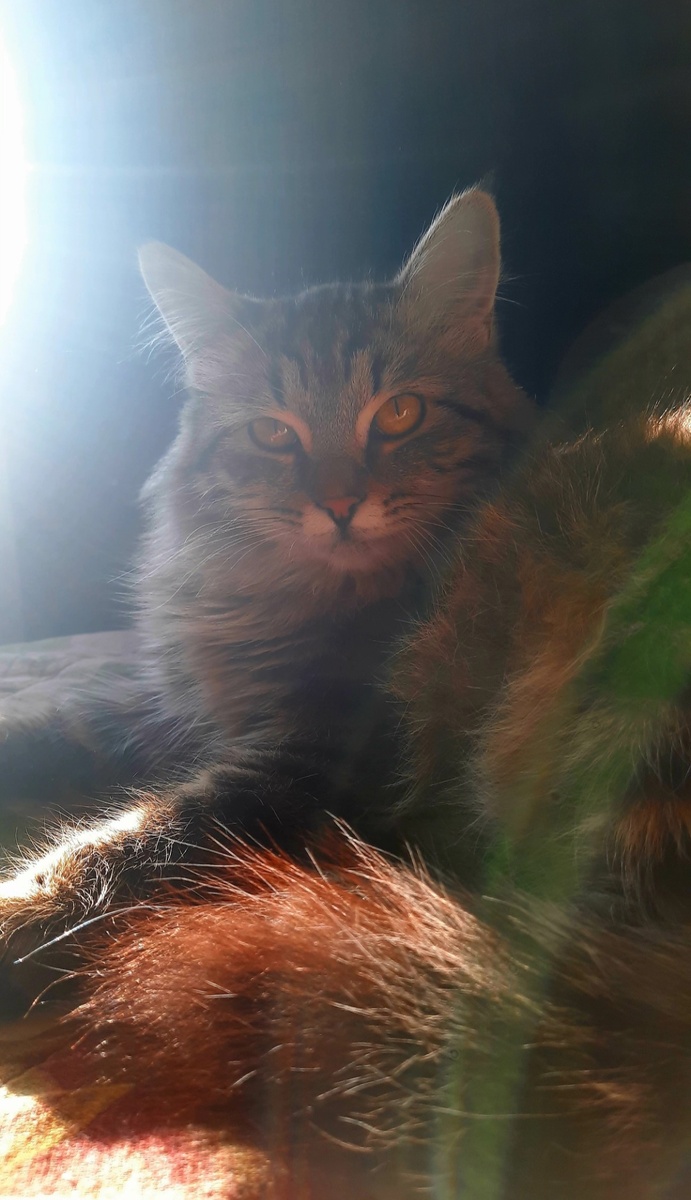 Люся наша красавица ❤️