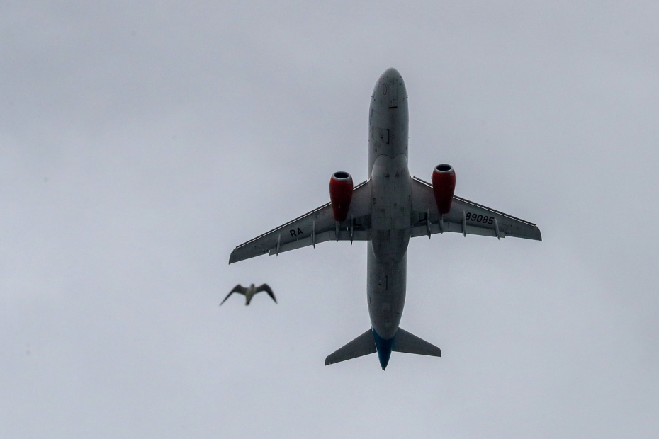    Сергей Петров/NEWS.ru