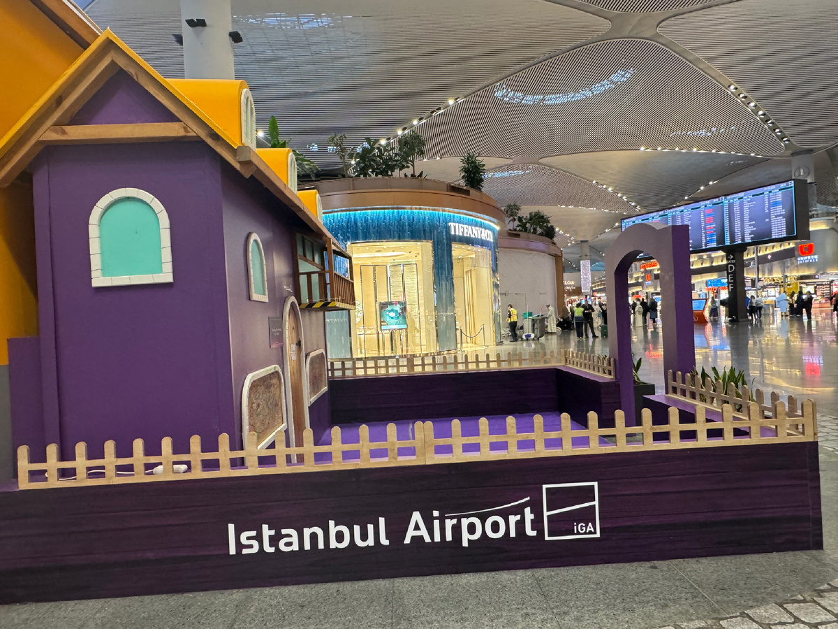 В аэропорту Стамбула