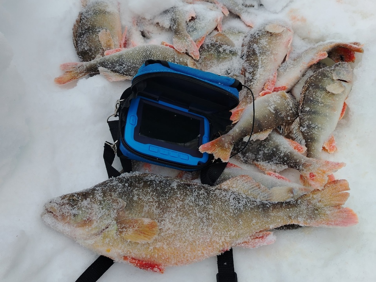 Фото: Артем Кетрарь