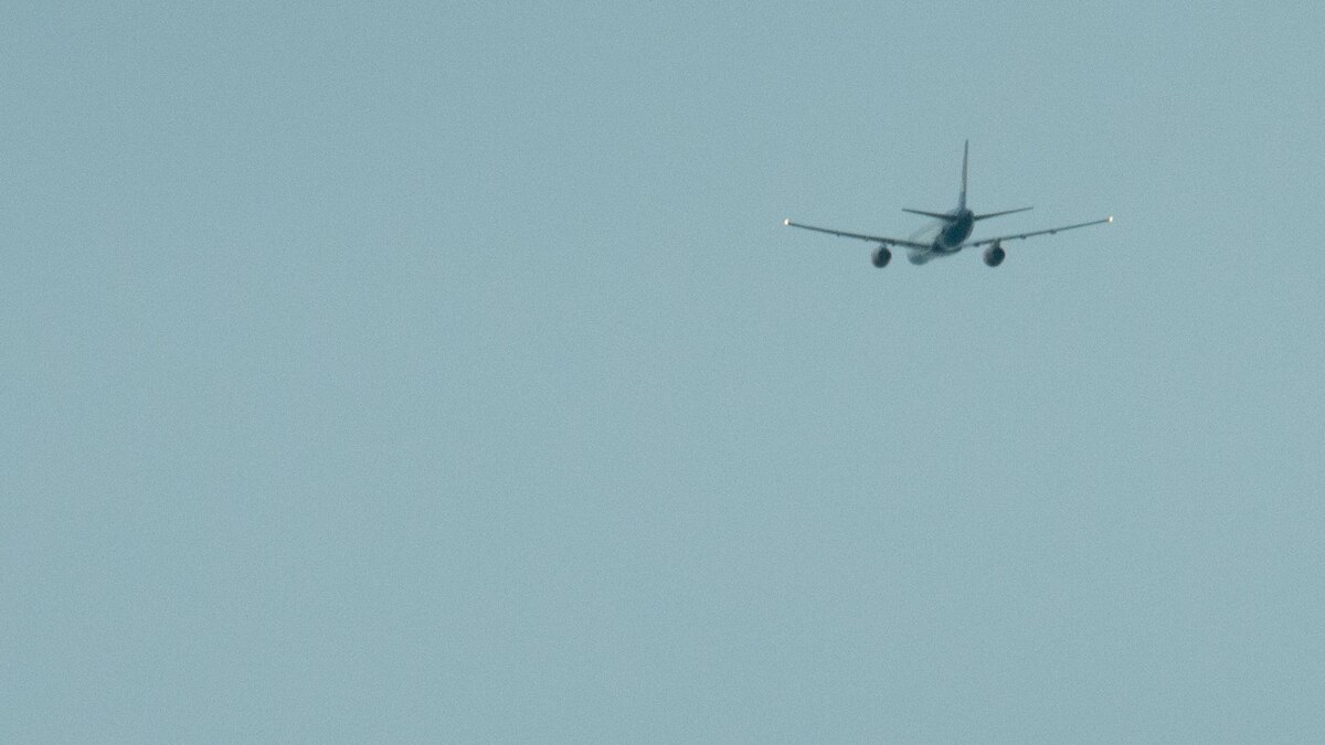    Фото: Svetlana Vozmilova/Global Look Press