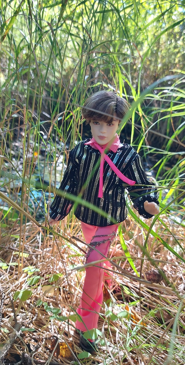 Новый облик крокодила. Фото автора канала.