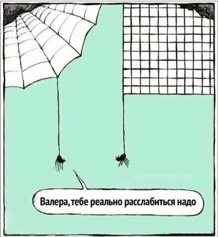 Изображение взято из открытых источников.