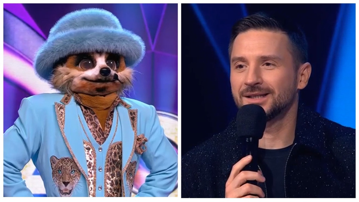 Сурикат перепел пенсю Сергея Лазарева. Как вам?