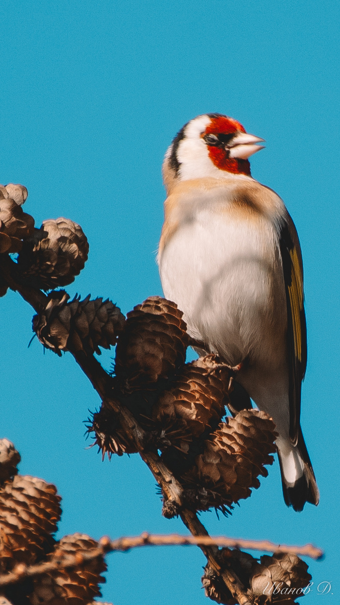 Фото - март 2026