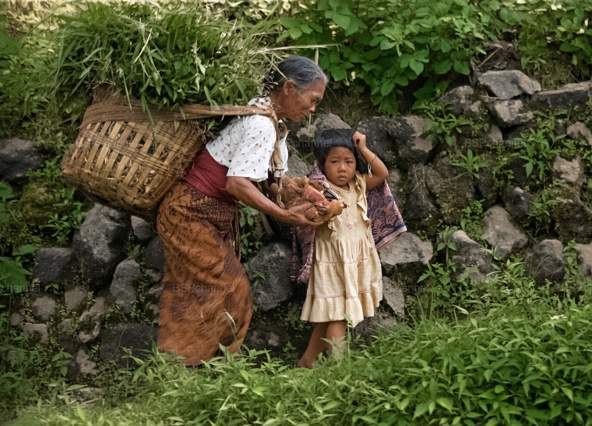 Фотограф: В. Федорцов